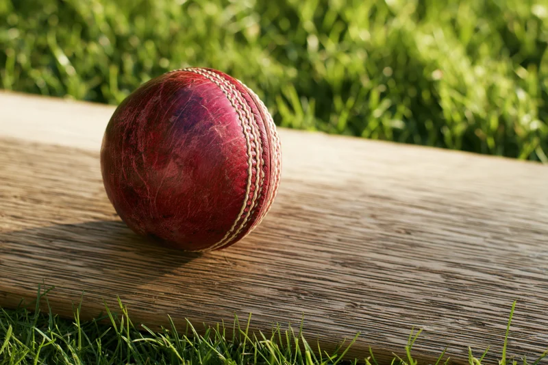 Worn red leather cricket ball resting on wooden bat on grass field