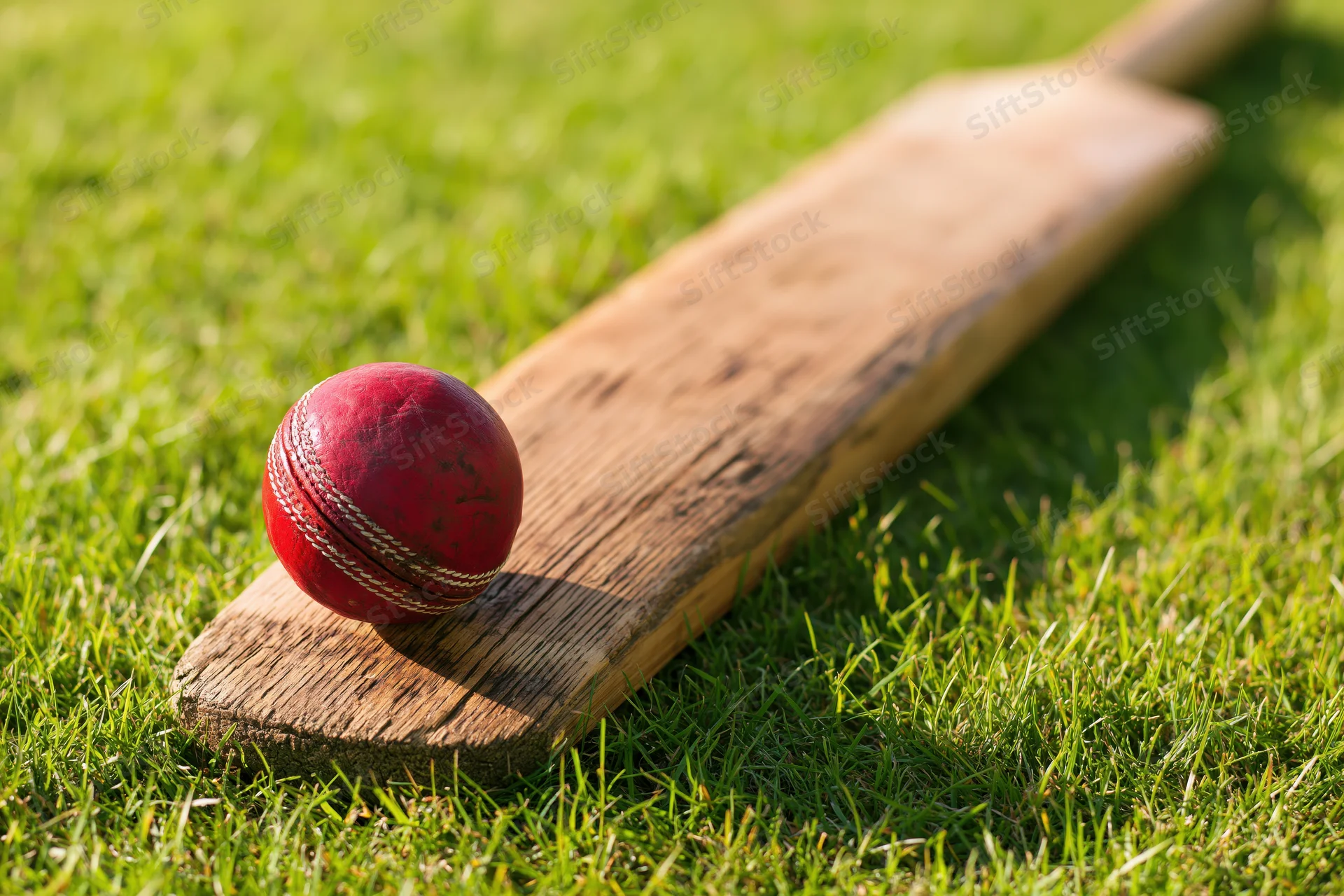 Red cricket ball resting on a wooden bat lying on bright green grass