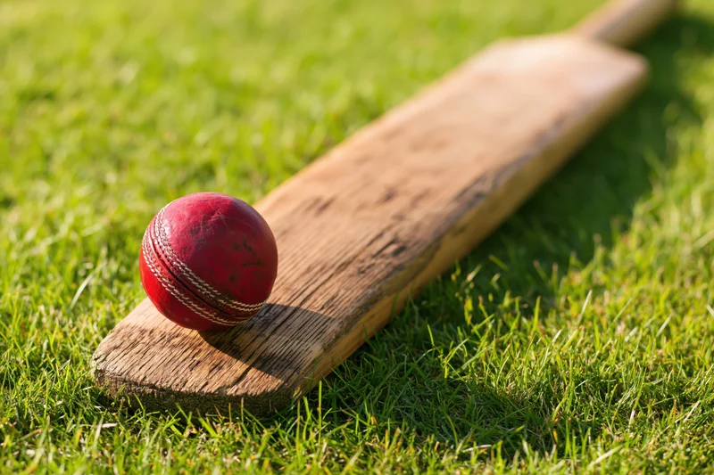 Red cricket ball resting on a wooden bat lying on bright green grass