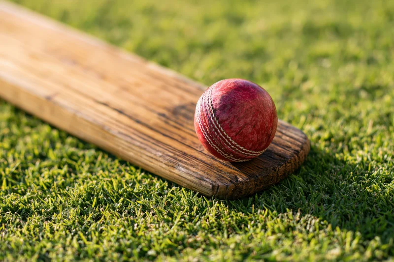 Red cricket ball resting on wooden bat lying on green grass field