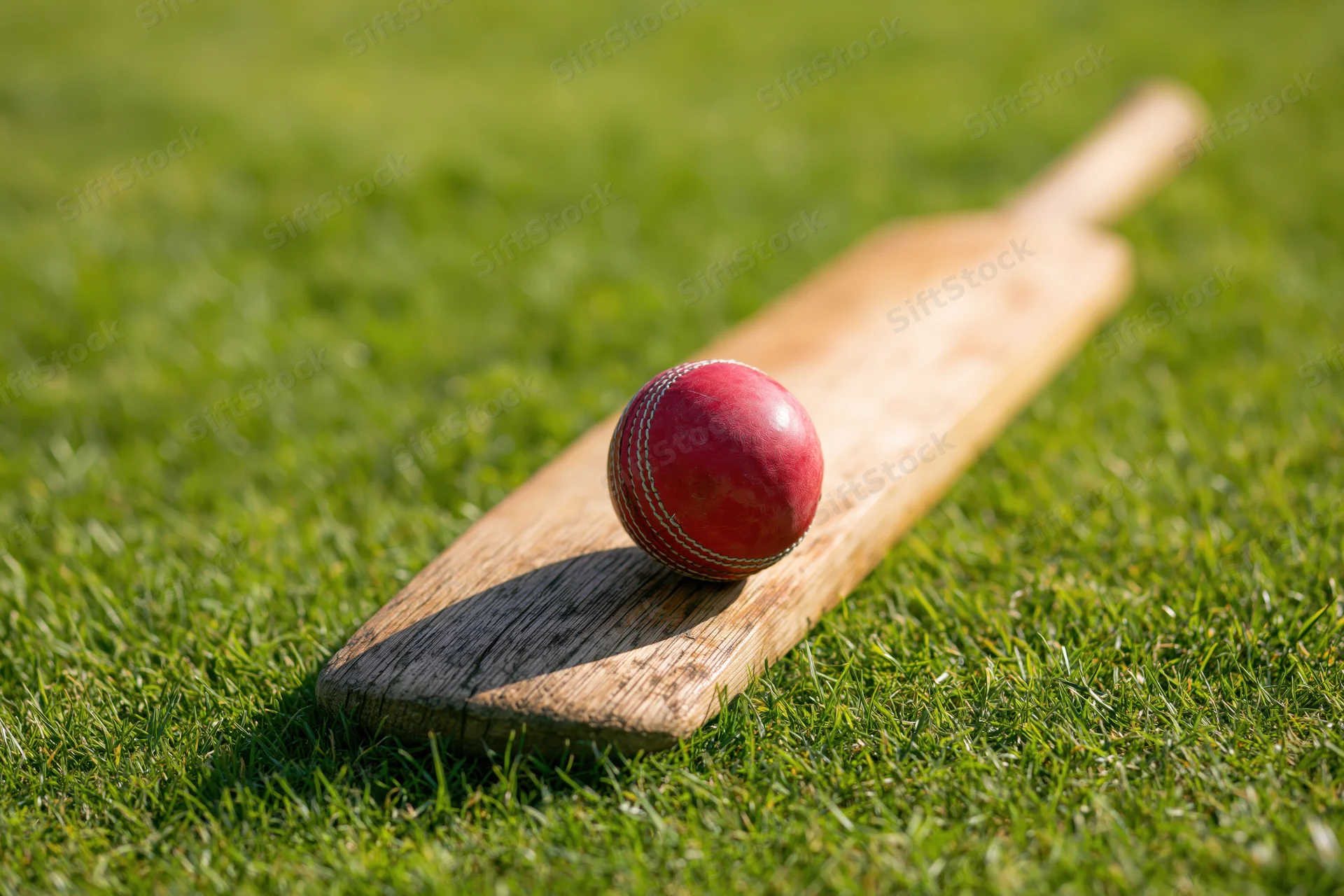 Red cricket ball resting on a wooden bat lying on bright green grass