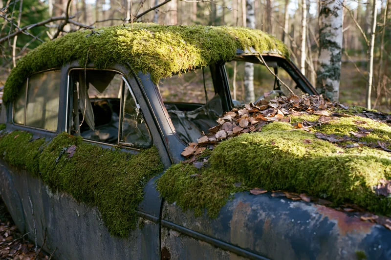 Moss-covered abandoned vintage sedan in a forest clearing