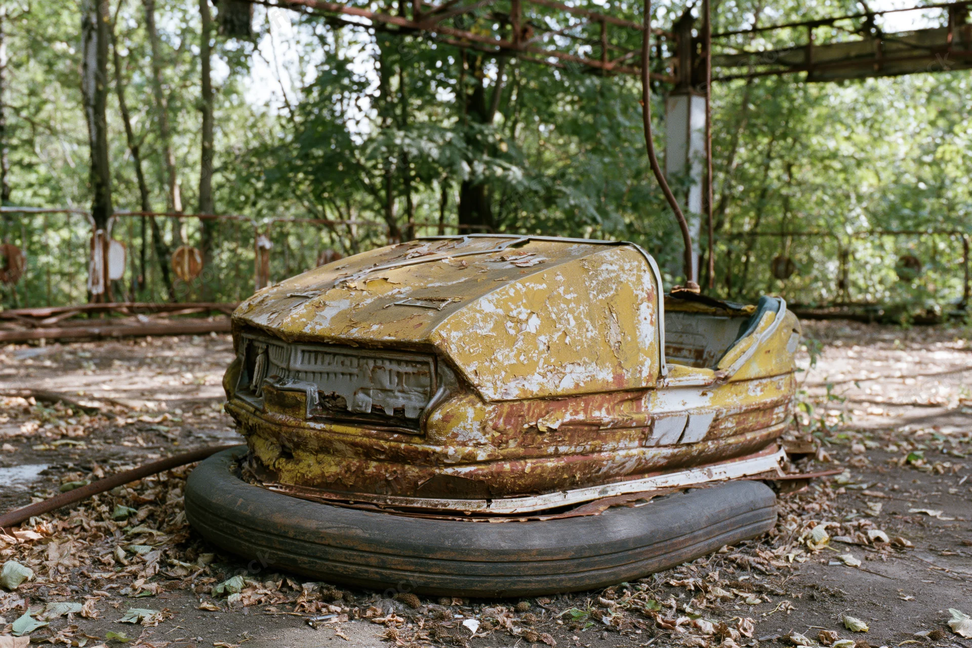 Decayed yellow bumper car resting on dirt floor surrounded by overgrown trees and foliage in abandoned amusement park