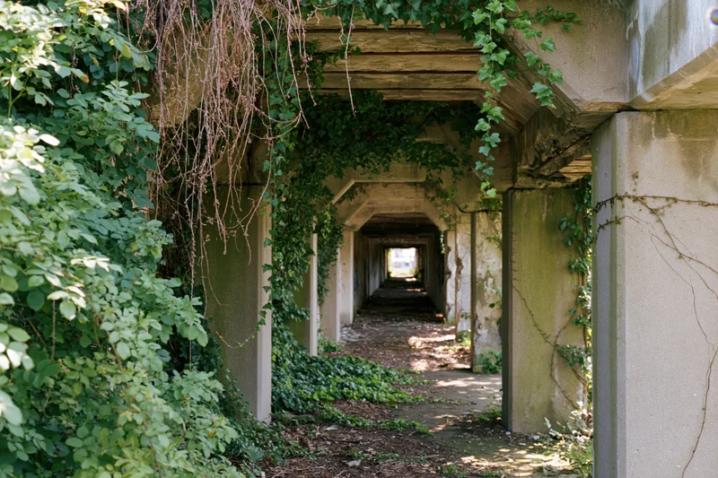 Overgrown concrete corridor with ivy-covered arches receding into the distance