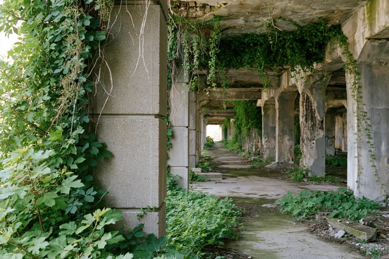 Overgrown concrete corridor with ivy-covered pillars receding into distance