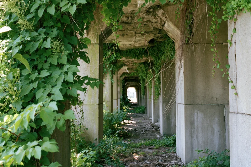 Overgrown concrete corridor with ivy-covered arches receding into the distance
