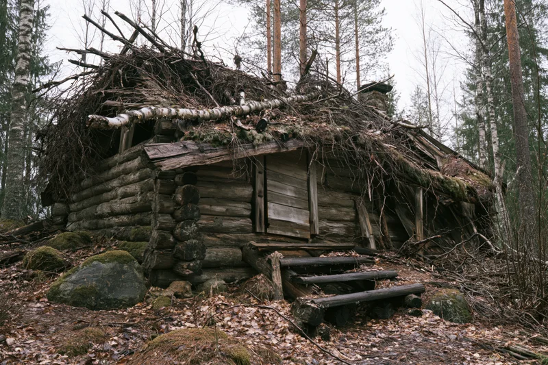 Abandoned log cabin with overgrown roof and mossy stones in a dense boreal forest