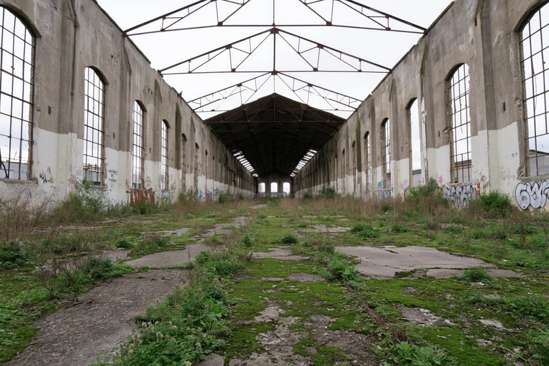 Long symmetrical view of abandoned industrial factory hall interior with overgrown vegetation and graffiti on concrete walls