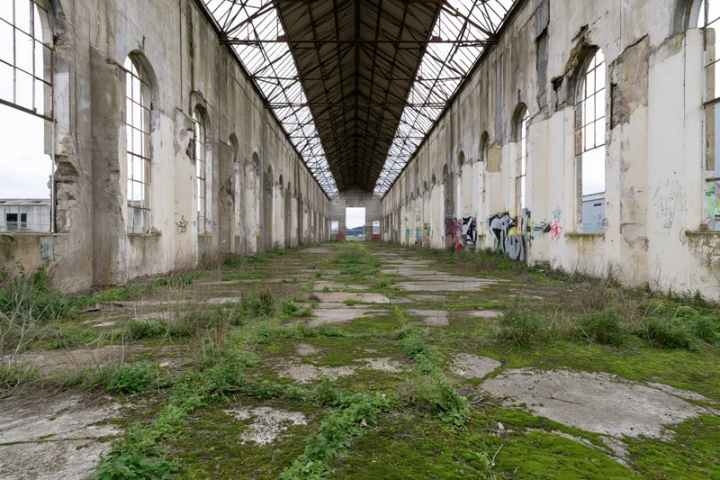 Long symmetrical interior of abandoned industrial factory hall with overgrown floor and graffiti-covered walls