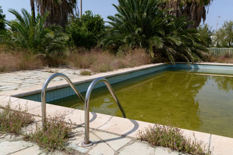 Abandoned outdoor swimming pool filled with murky green water surrounded by overgrown vegetation and cracked concrete patio