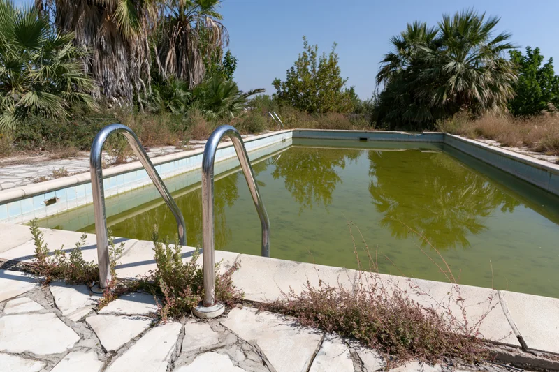 Abandoned outdoor swimming pool filled with murky green water surrounded by overgrown vegetation and cracked concrete under bright sunlight