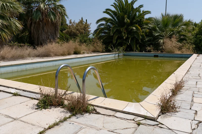 Abandoned outdoor swimming pool filled with murky green water surrounded by overgrown vegetation and cracked stone tiles