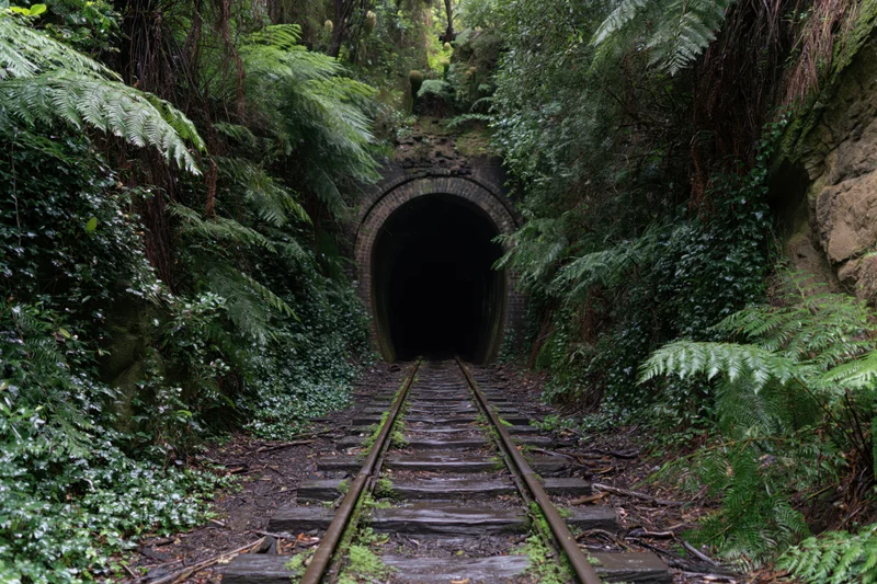 Abandoned railway tracks leading into a dark arched brick tunnel surrounded by dense green ferns and overgrown vegetation
