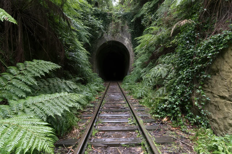 Abandoned railway tracks leading into a dark arched brick tunnel surrounded by dense green ferns and overgrown vegetation in a forest setting