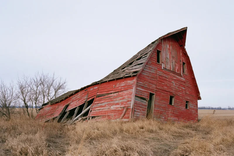 Red wooden barn collapsing to one side in a dry grassy field under overcast sky