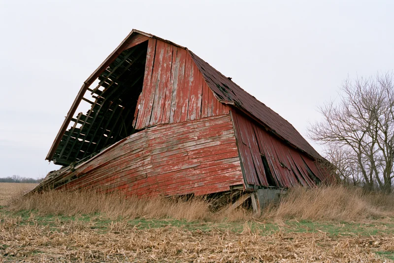 Collapsed red wooden barn in a rural field with dry grass and bare trees under an overcast sky