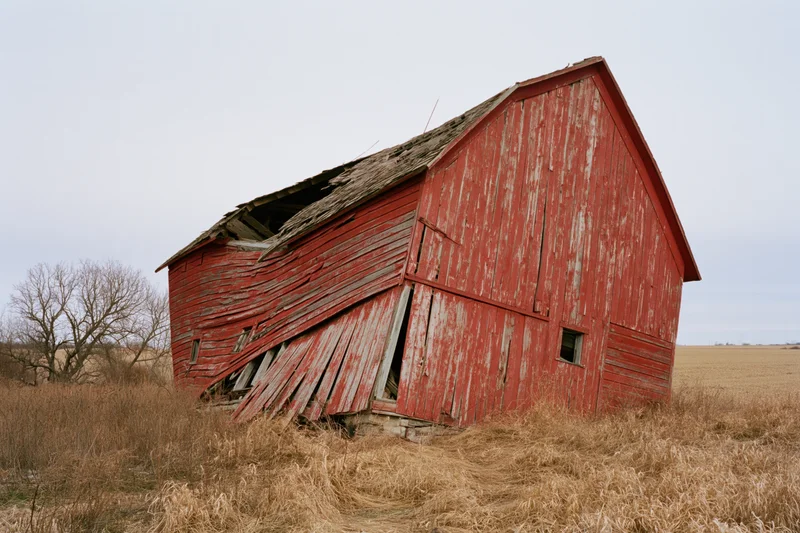 Red wooden barn collapsing to one side in a dry grassy field