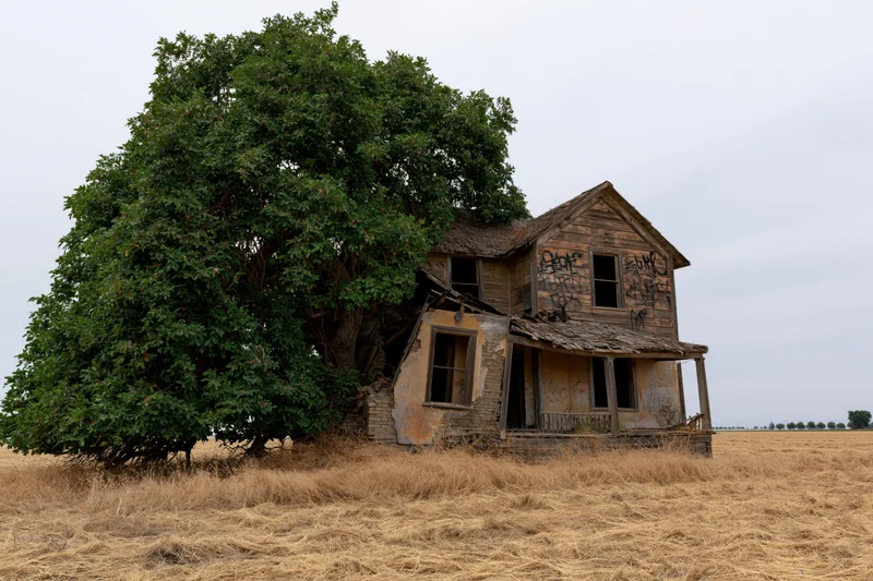 Abandoned two-story farmhouse collapsing under a large tree in a dry grassy field