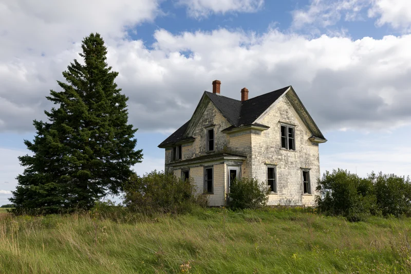 Abandoned two-story farmhouse with weathered yellow shingle siding surrounded by overgrown grass and a tall pine tree under a partly cloudy sky