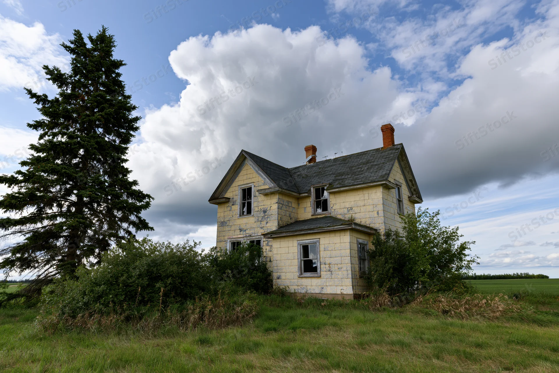 Abandoned two-story farmhouse with faded yellow shingle roof and broken windows surrounded by overgrown grass and trees in a rural field under a cloudy blue sky