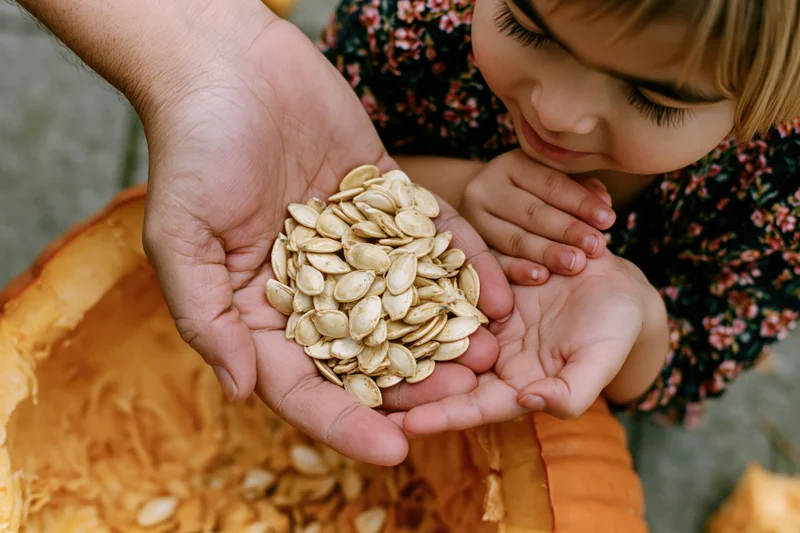 Child and adult hands cupped together holding pumpkin seeds over a carved pumpkin