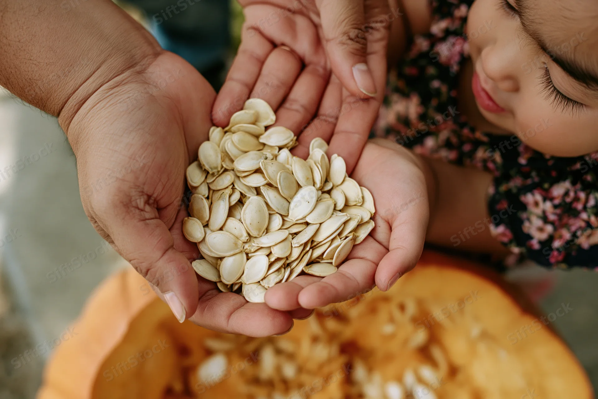 Adult and child hands cupped together holding pumpkin seeds above a carved pumpkin