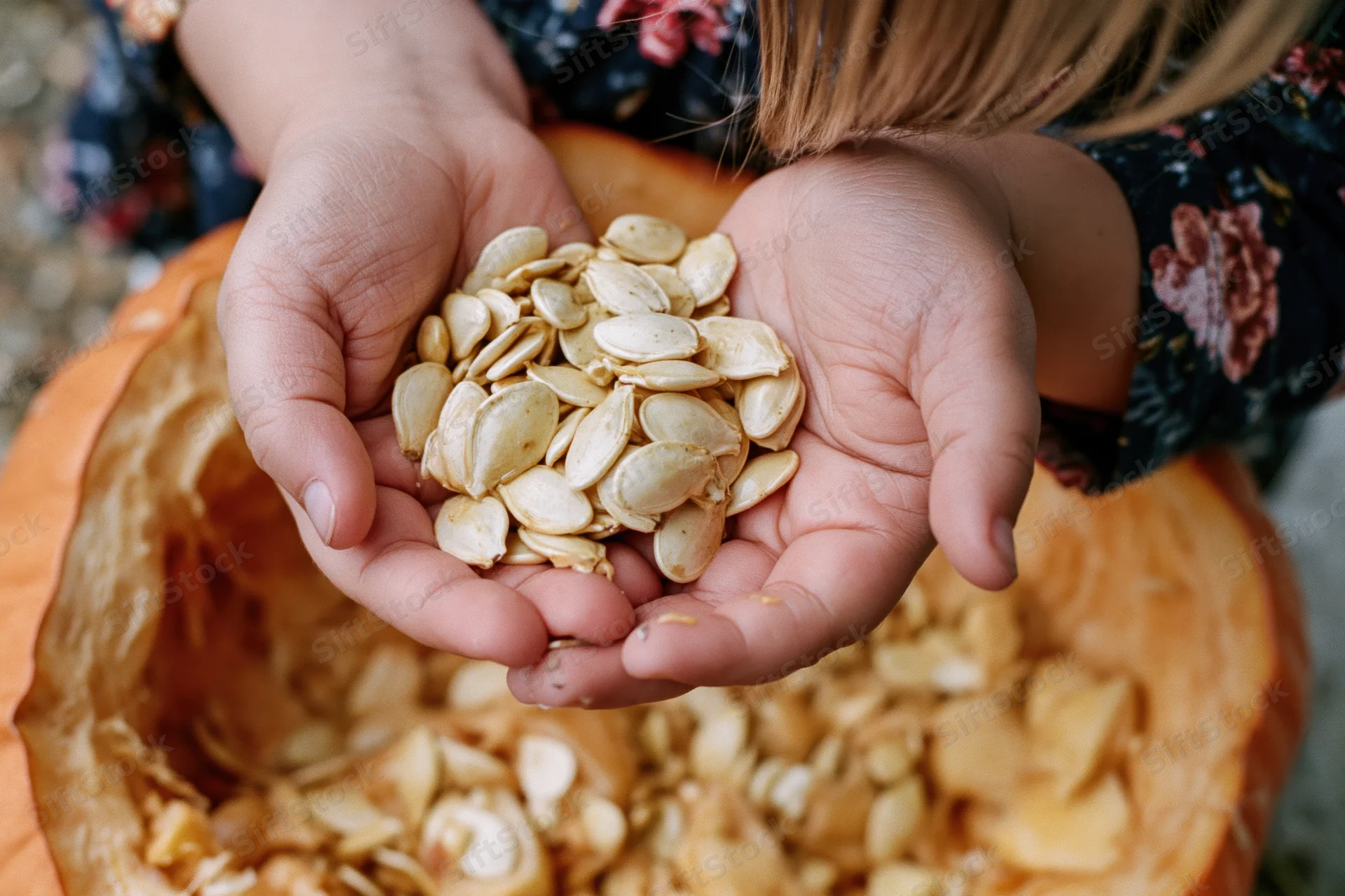 Child's hands cupped together holding pumpkin seeds above a carved pumpkin