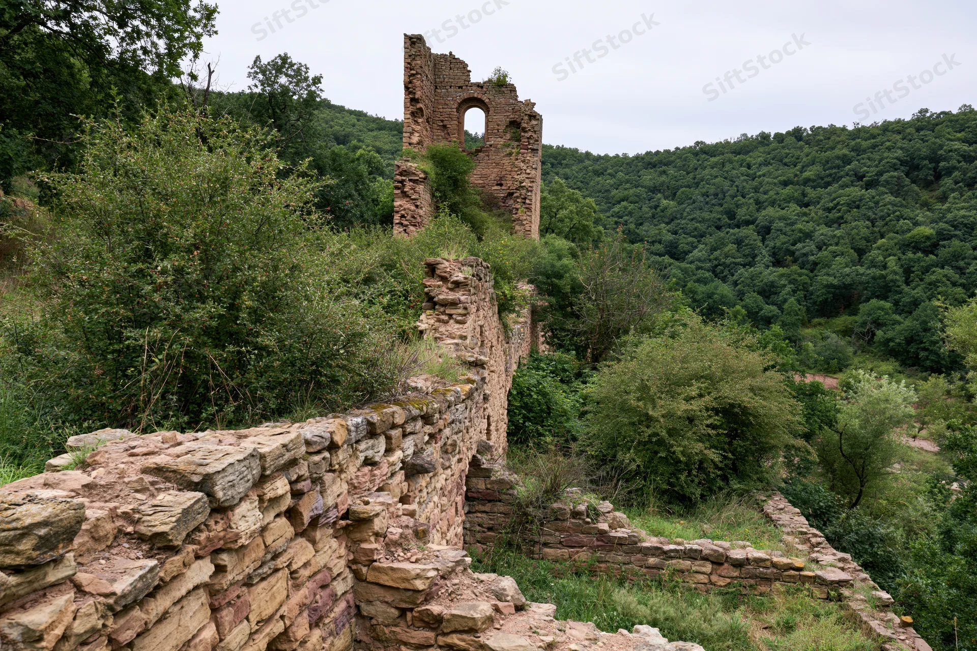 Ancient sandstone castle ruins overgrown with green vegetation on a forested hillside