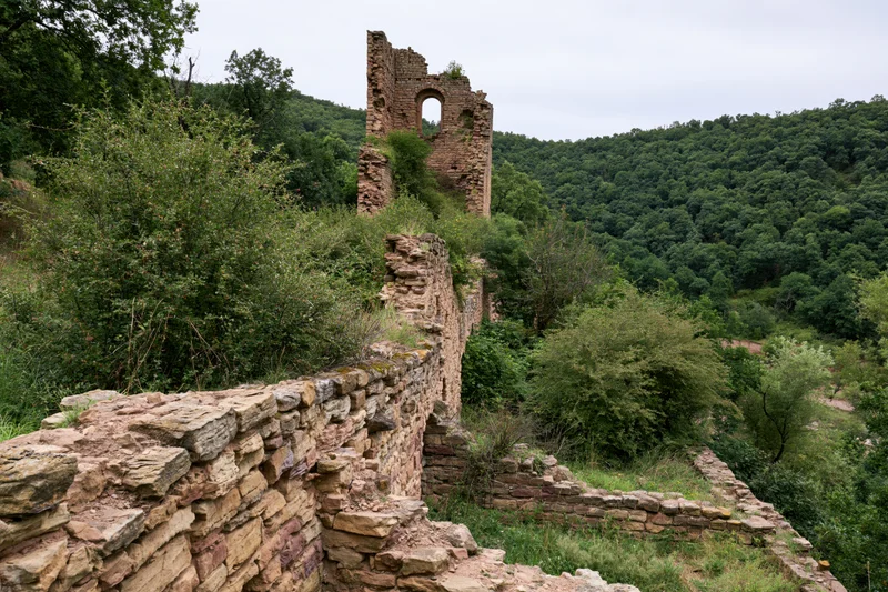 Ancient sandstone castle ruins overgrown with green vegetation on a forested hillside