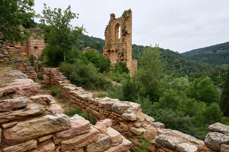 Ancient sandstone ruins with crumbling walls and a tower on a forested hillside