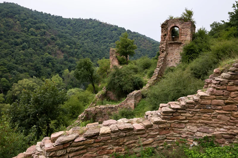 Ancient stone ruins with crumbling walls and overgrown vegetation on a forested hillside