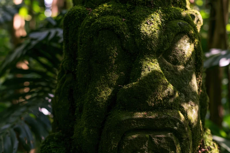 Moss-covered stone demon face carving in a forest setting