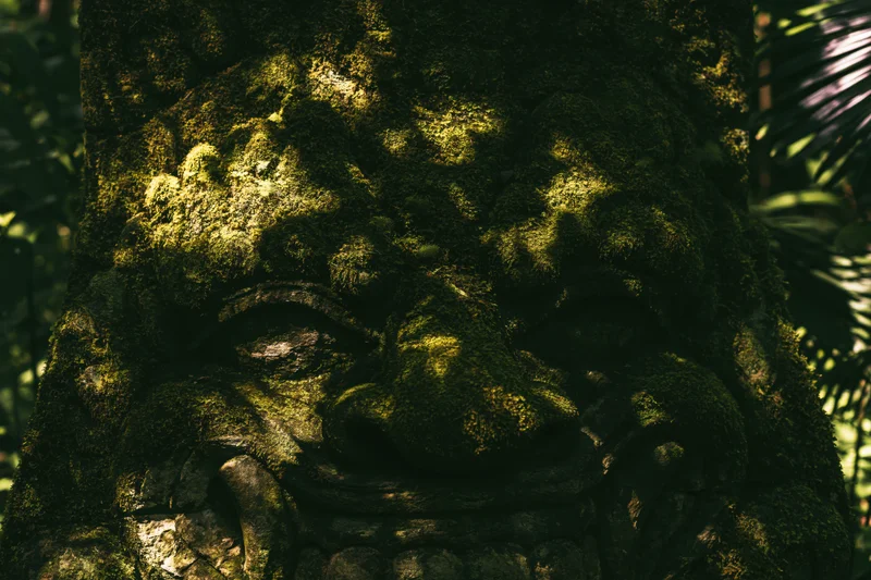 Ancient stone demon face carving covered in thick green moss in a jungle setting