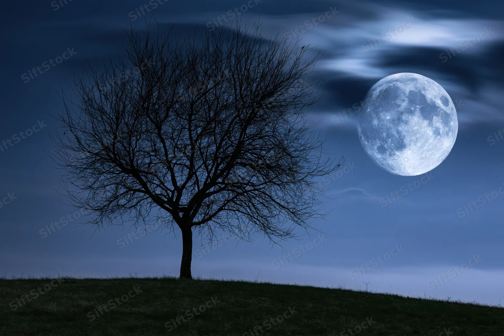 Bare tree silhouetted on a grassy hill under a full moon at night