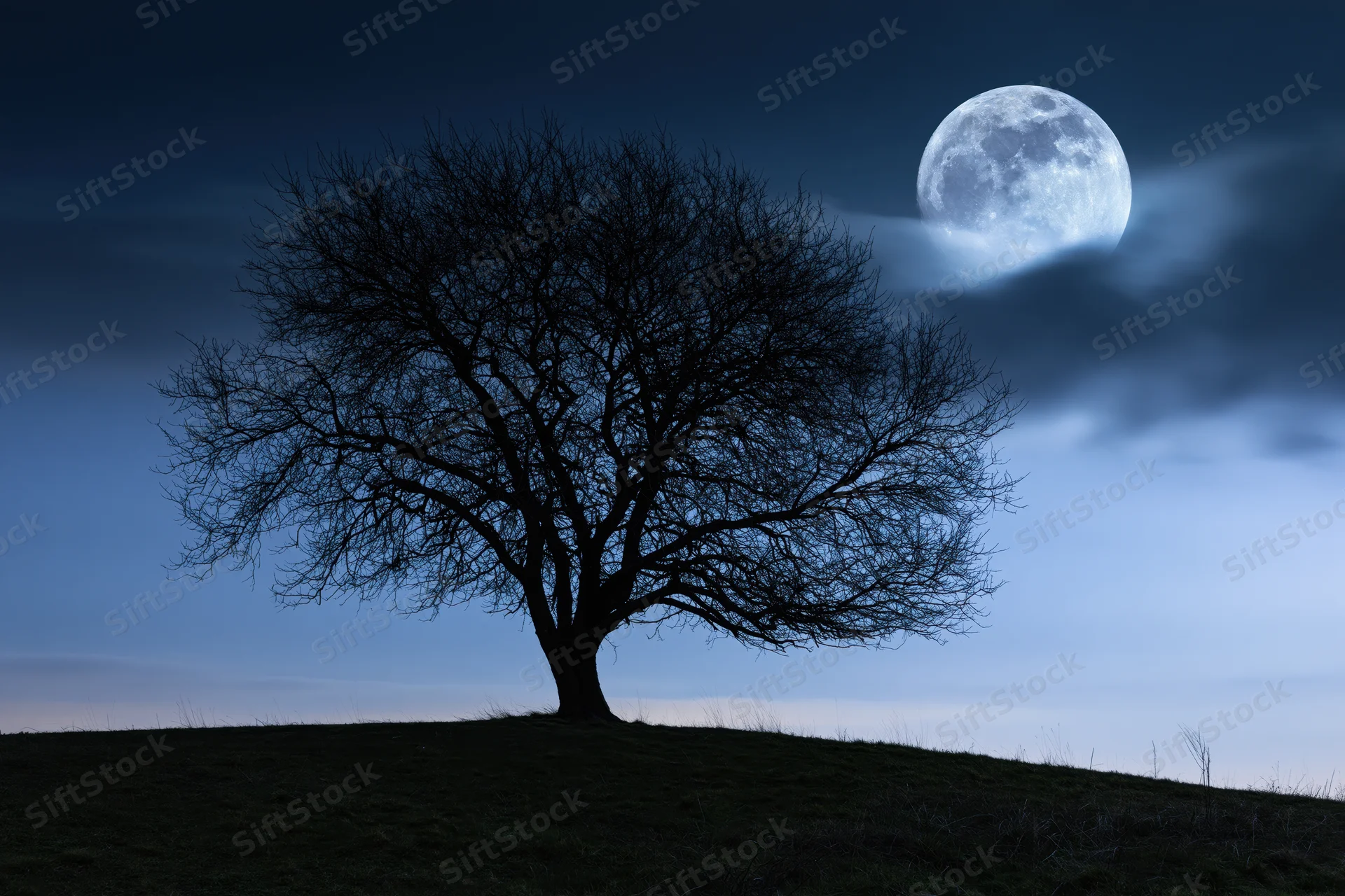 Bare tree silhouetted against a full moon rising over a grassy hill at night