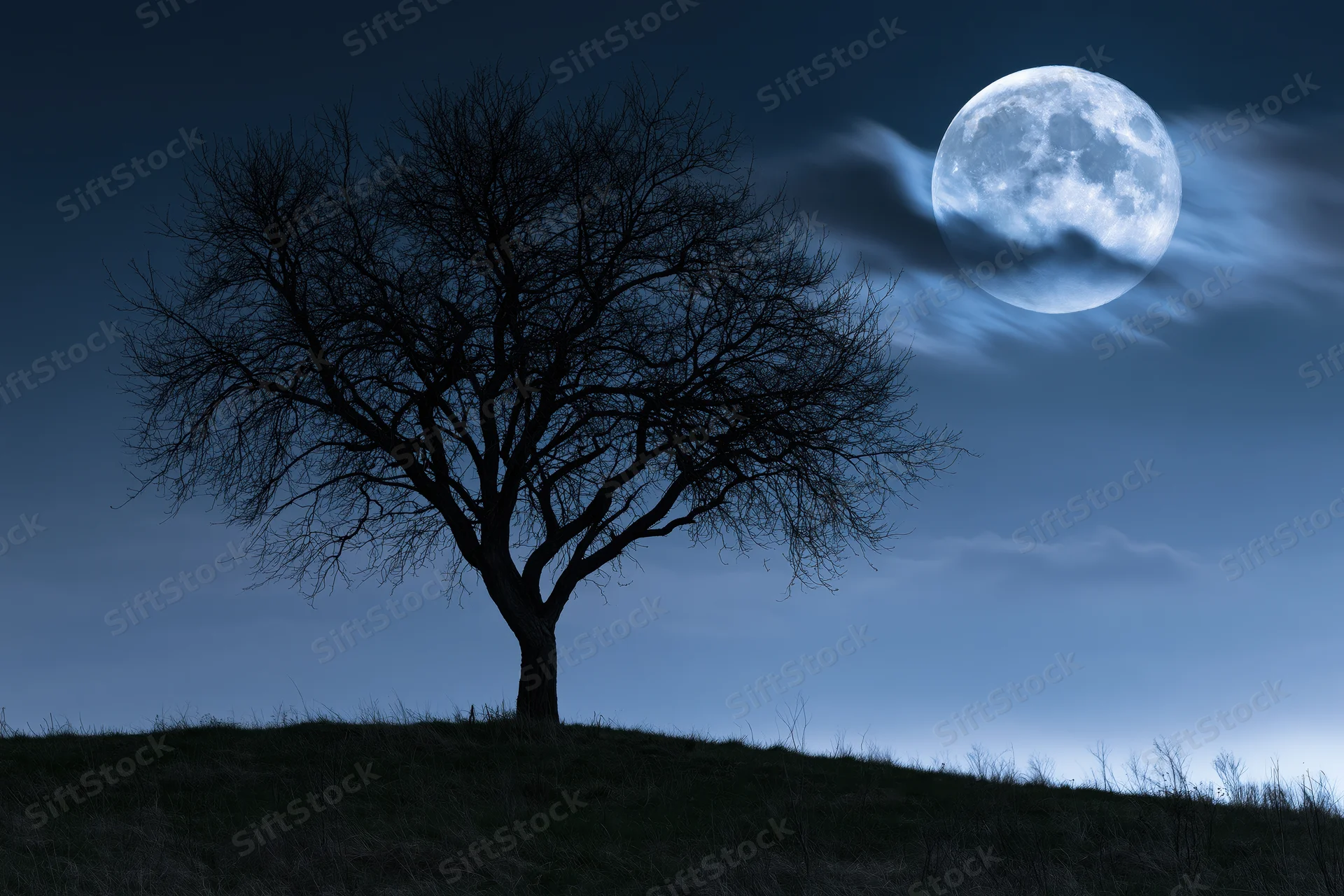 Bare tree silhouetted against a full moon rising over a grassy hill at night