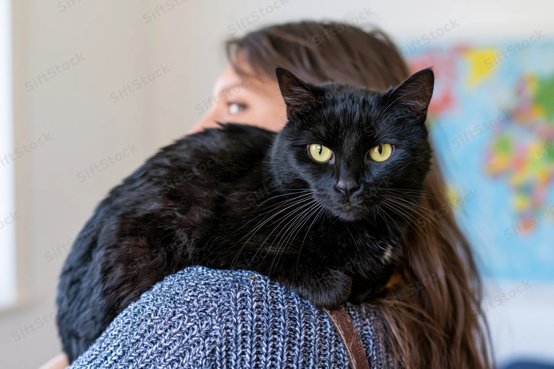 Black cat resting on a young woman's shoulder indoors