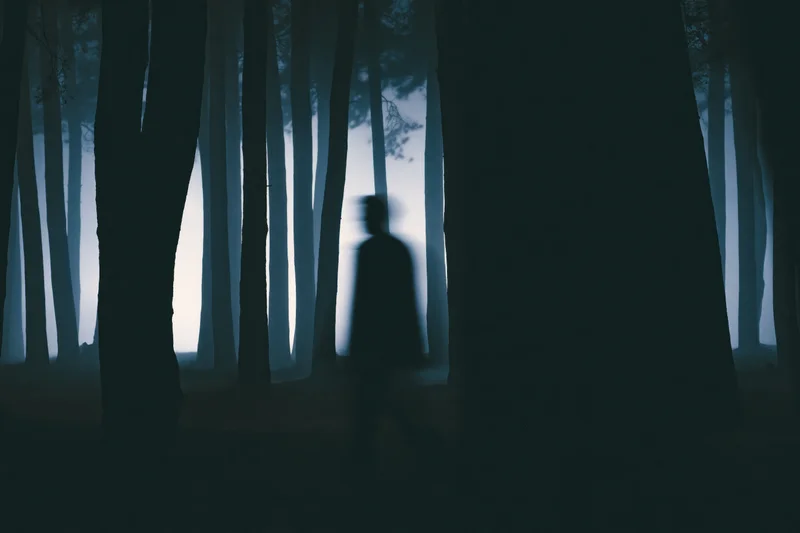 Blurred silhouette of a lone figure walking through a dense misty forest at night