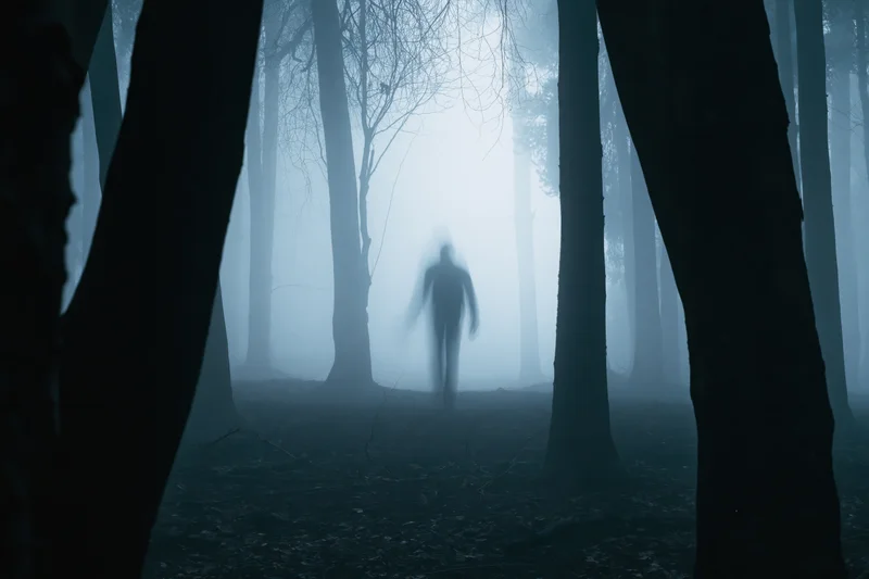 Blurred silhouette of a lone figure walking through a foggy forest at night