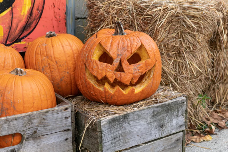 Carved jack-o-lantern with jagged grin sitting on hay in wooden crate beside pumpkins and hay bale
