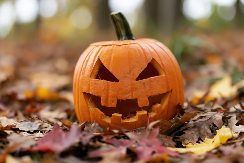 Carved jack-o-lantern with jagged eyes and uneven grin resting on fallen autumn leaves in a forest