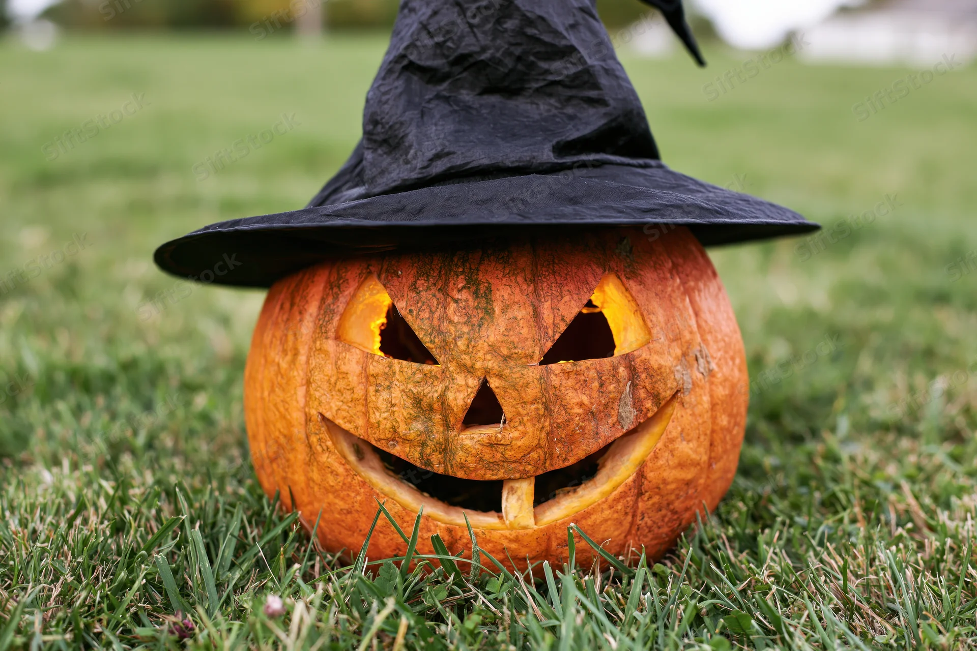 Carved orange jack-o-lantern with smiling face wearing black witch hat on grass