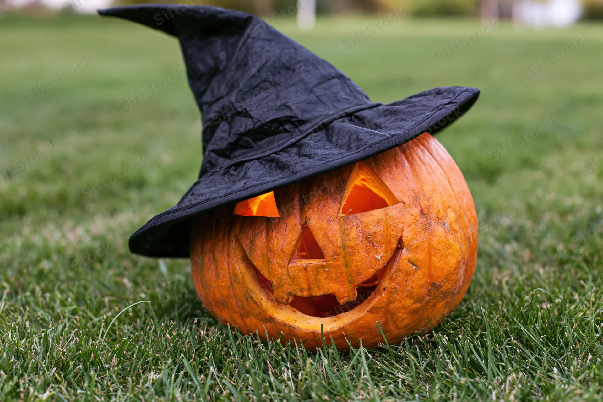 Carved jack-o-lantern with smiling face wearing black witch hat on green grass