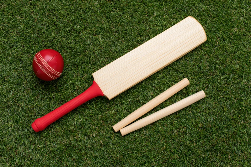 Cricket bat with red grip and ball lying on short green grass