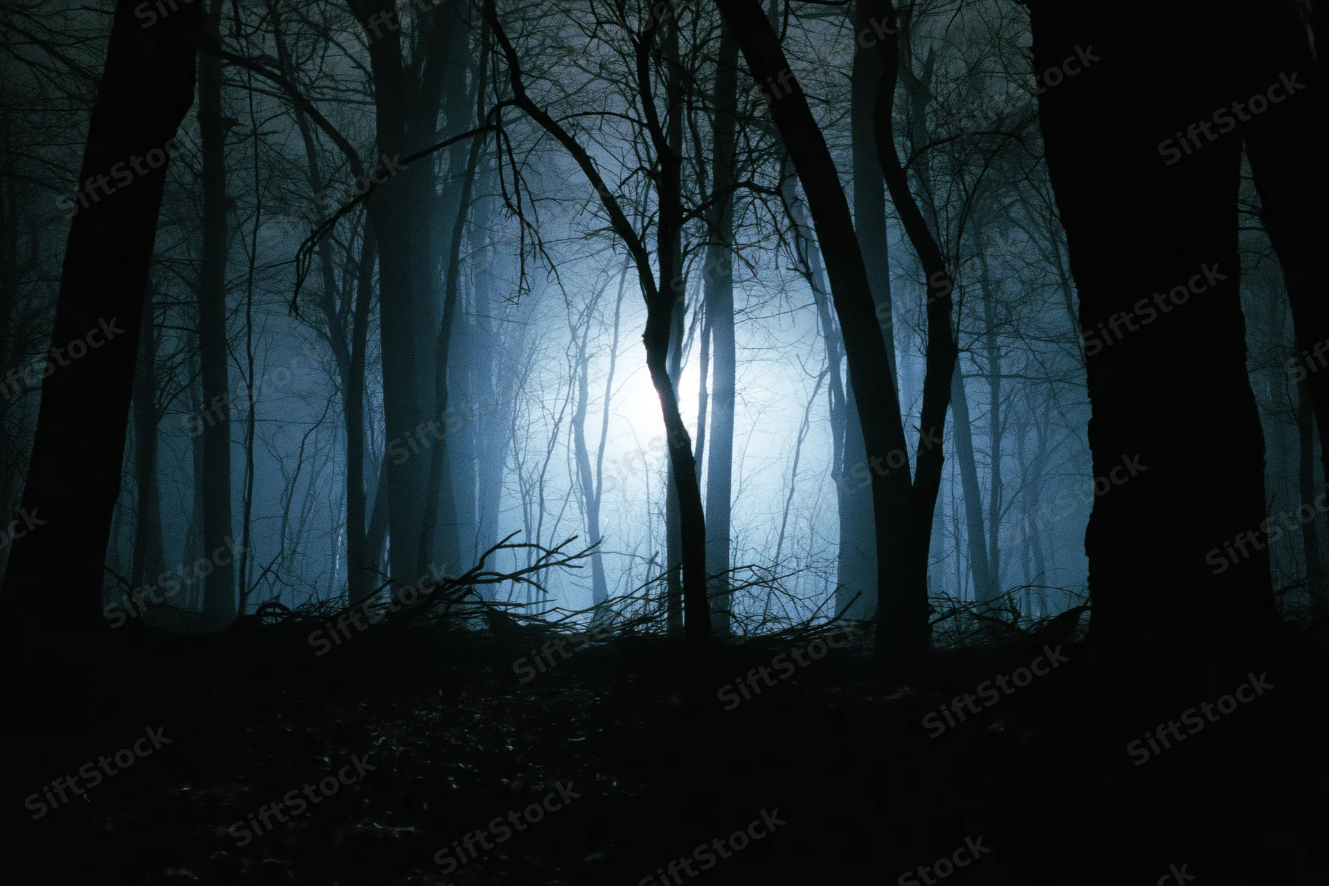 Dark foggy forest at night with bare winter trees silhouetted against moonlight