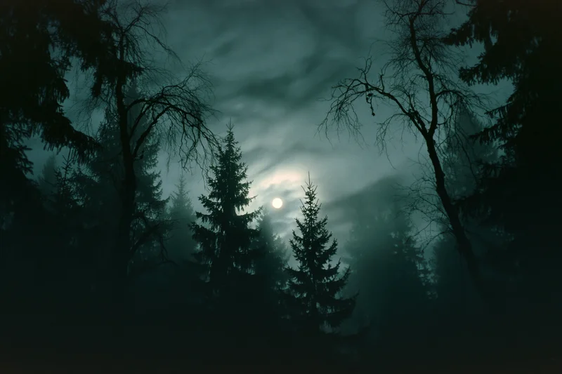 Dense conifer forest silhouetted against a full moon rising through misty sky at night
