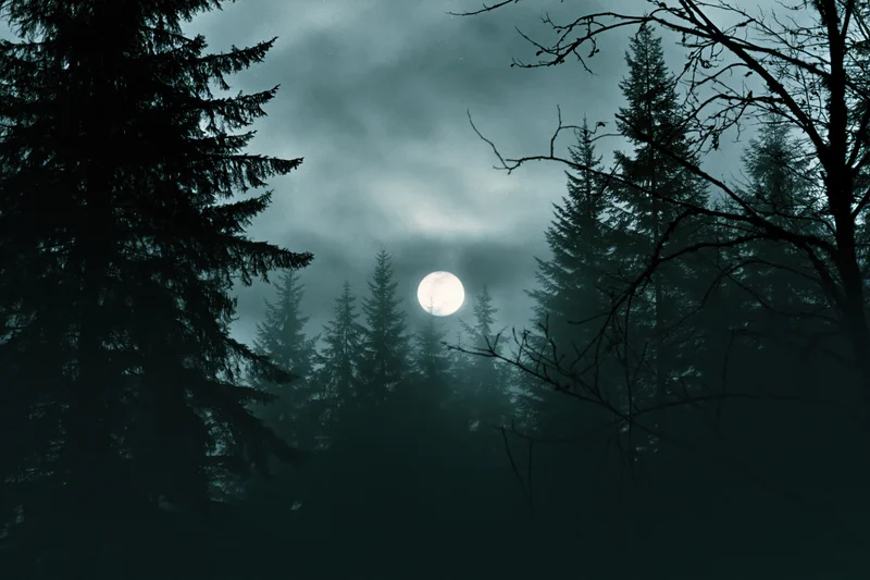 Full moon rising over dense conifer forest at night, silhouetted by mist and clouds