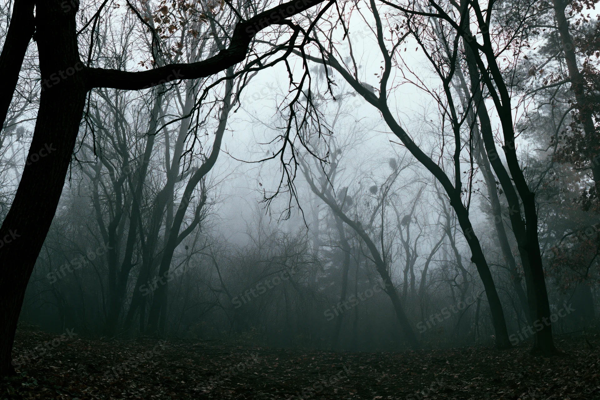 Fog-filled forest with bare twisted trees and leaf-covered ground