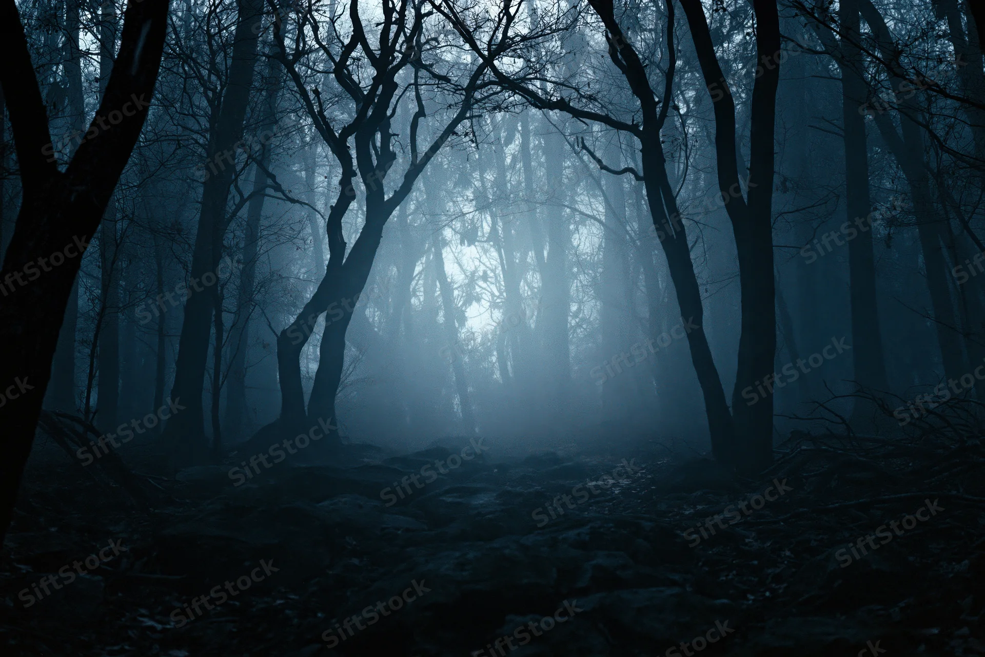 Dark foggy forest at night with bare twisted trees silhouetted against misty light