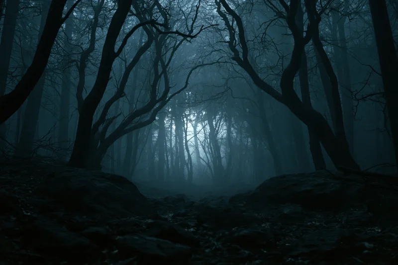 Dark foggy forest at night with bare twisted trees lining a narrow path between rocks